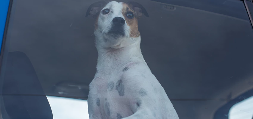 Car Lockout Solutions in West Whittier-Los Nietos, California